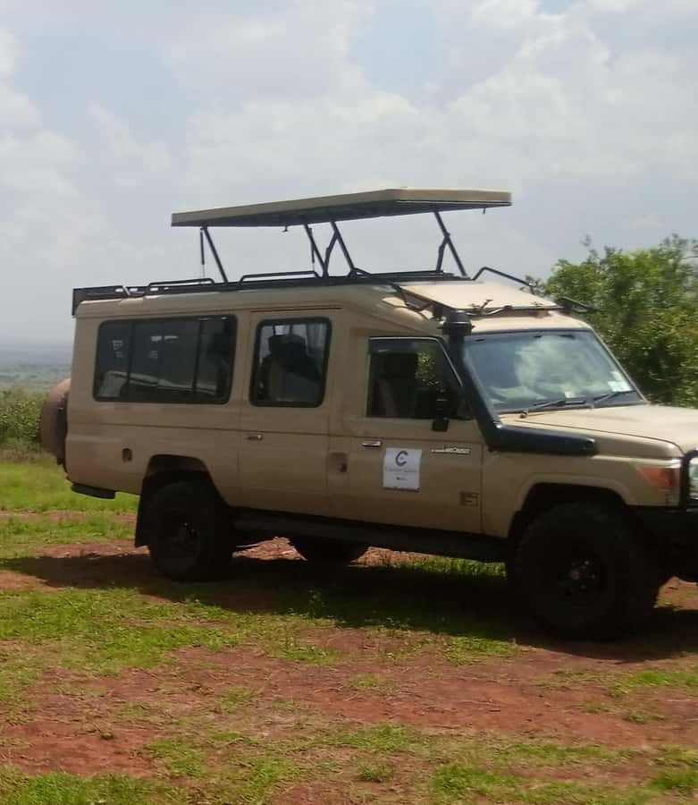 Nairobi National Park Full-Day Tour: Private 4WD with Guide - Nairobi National Park, Lions and Giraffes with Nairobi City Behind
