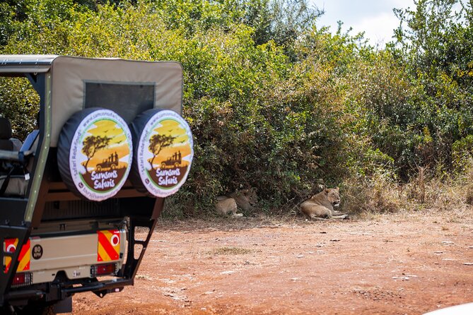 Nairobi National Park Game Drive - Shared Experience in Open Jeep - The open jeep reality check (and why it matters for photos)