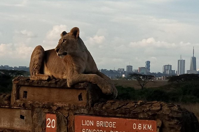 Nairobi National Park Game Drive With Free Pick Up Group Joining - Should you book this Nairobi National Park game drive plus Sheldrick visit?