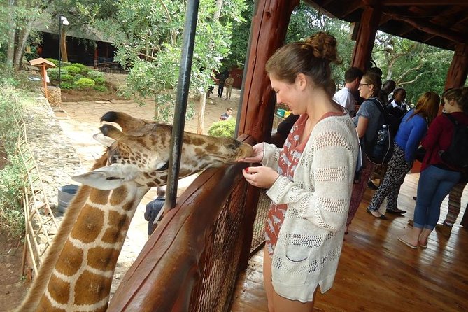 Nairobi National Park, Giraffe Center and Elephant Orphanage Day Tour from Nairobi - Transport, Timing, and What This Day Feels Like