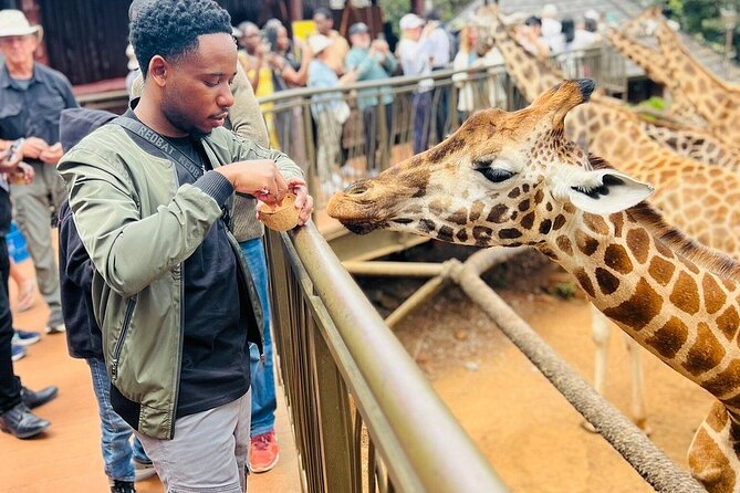 Nairobi National Park Giraffe Center Carnivore Lunch - Key points worth knowing before you go