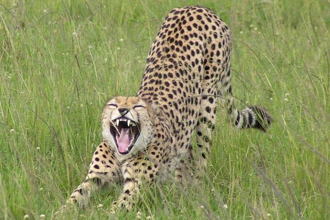 Nairobi National Park, Giraffe Center & Karen Blixen Museum - The Money Math: Is $85.35 Good Value?