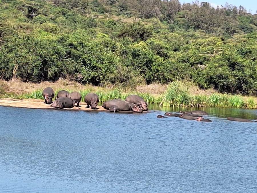 Nairobi National Park,Giraffe Center,Orpanage&Karen Blixxen - What to bring and how to feel comfortable all day