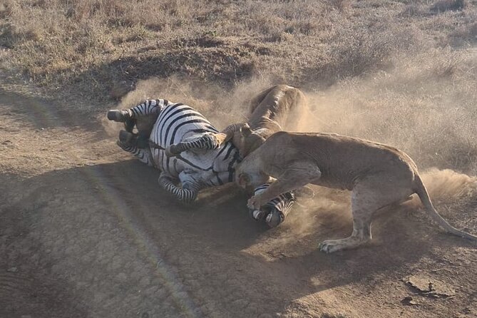 Nairobi National Park Group Shared Tour - Who This Tour Fits Best, and Who Might Want Longer