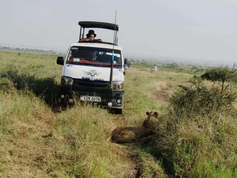 Nairobi: National Park Guided Game Drive For 5 Hours - Why Nairobi National Park makes sense for a quick trip