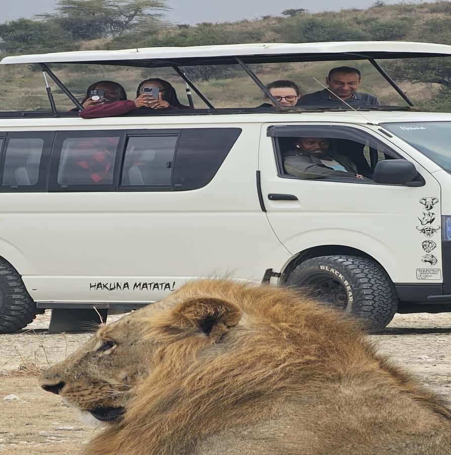 Nairobi: National Park Guided Game Drive - The half-day rhythm: pickup, briefing, and your first game-drive scan