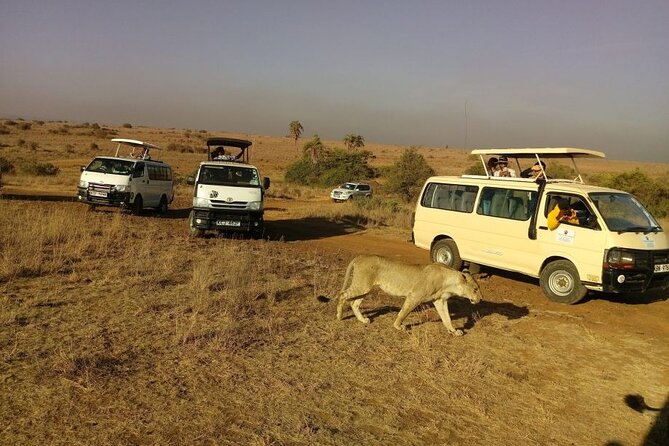 Nairobi National Park Half Day Game Drive Tour With Free WIFI - Morning or Afternoon: Picking the Right Time Without Stress
