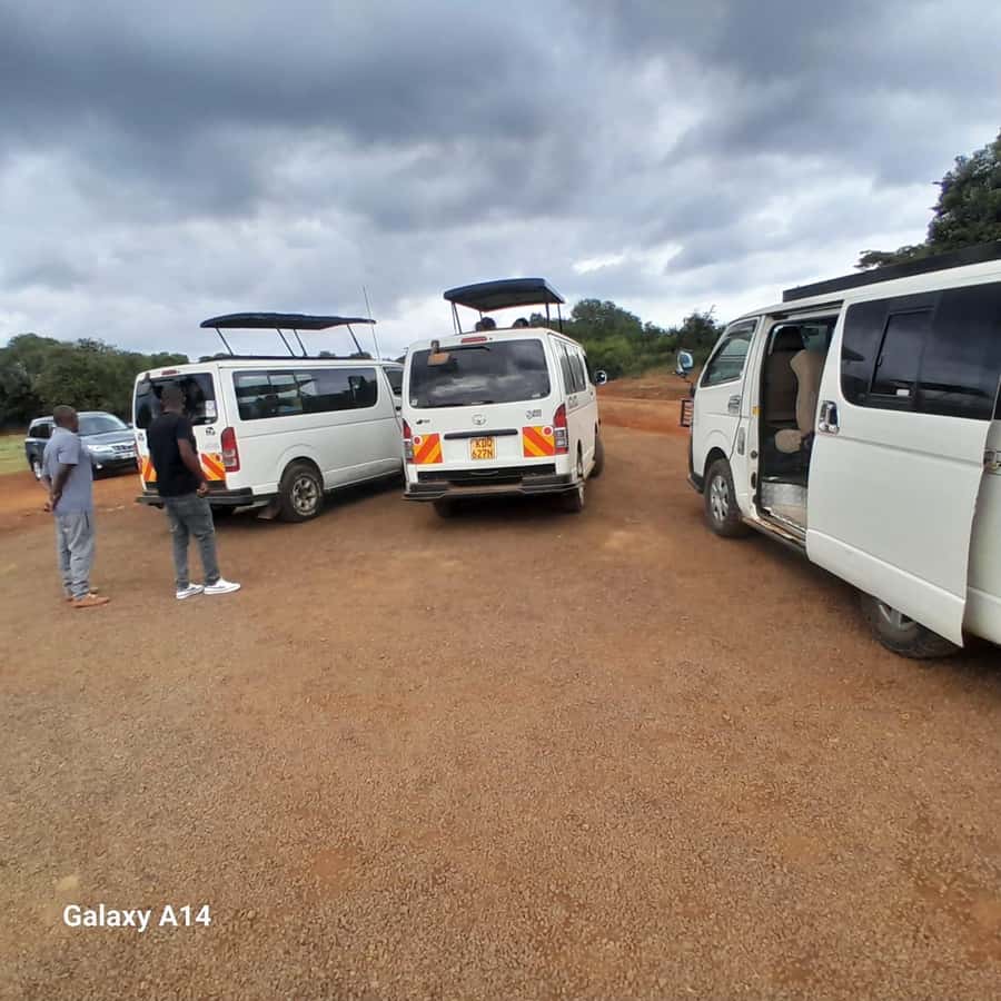 Nairobi National Park: Half-Day Group Tour with Pickup - Your guided game drive in an open-roof van