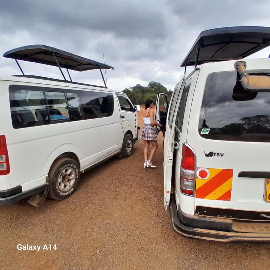 Nairobi National Park: Half-Day Group Tour with Pickup - On the way back: curio shops for last-minute souvenirs