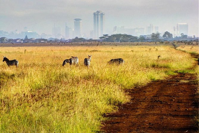 Nairobi National Park: Half Day Guided Tour From Nairobi - Inside the customized game drive van, and why the pop-up roof helps