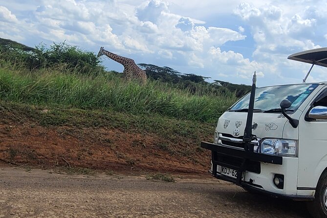 Nairobi National Park Half Day Tour - Who should book this Nairobi National Park half-day tour?