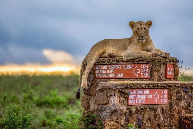 Nairobi National Park half-Day Tour; Free wifi Connection - Free wifi and the t-shirt: small perks that help your trip