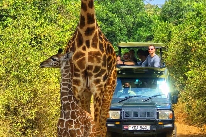 Nairobi National Park Half Day Tour with Landcruiser with Pickup - Open pop-roof Landcruiser: why it matters for sightings and photos