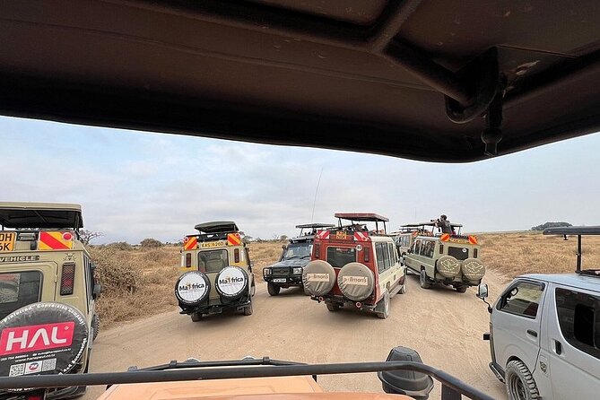 Nairobi National Park Half Day with Pickup - What $44 covers, and what costs extra at the gate