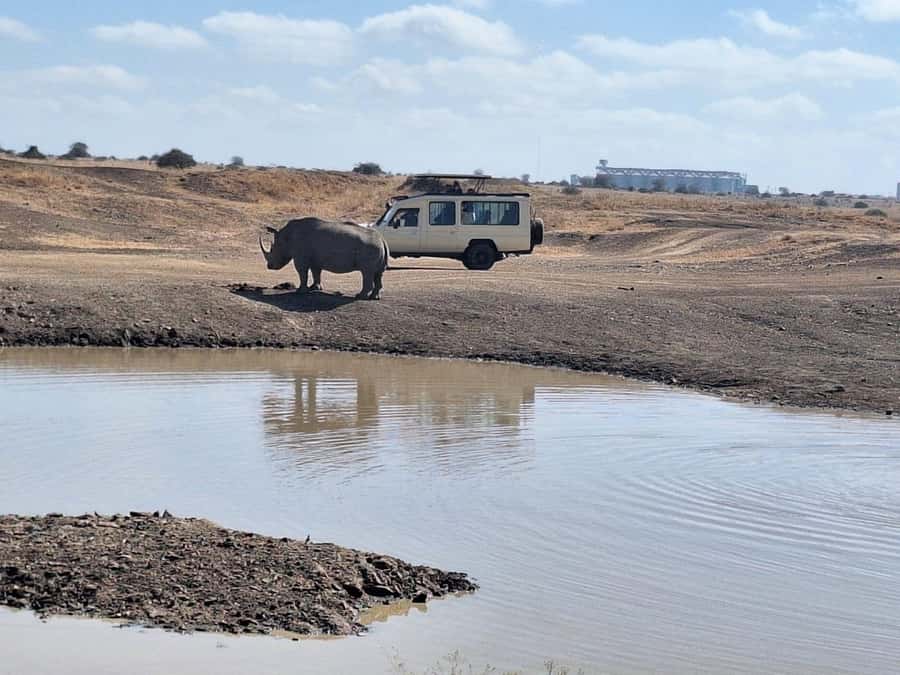 Nairobi National Park Morning Or Evening Game Drive Tour - Your ride matters: open-roof vehicle spotting tips that actually work