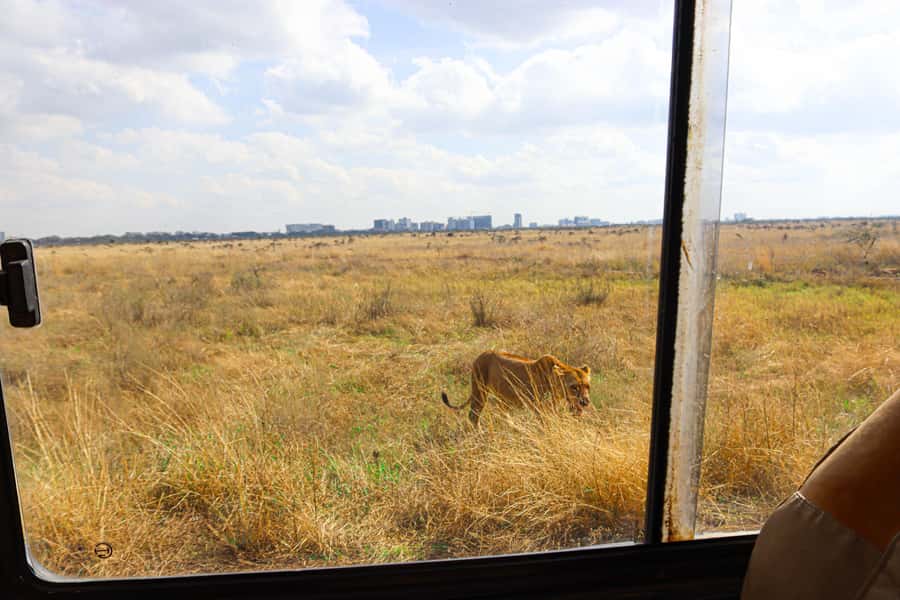 Nairobi National Park, Orphanage, Giraffe & Beads Tour - Kazuri and Kobe Tough Beads, Leather, and Women’s Craft