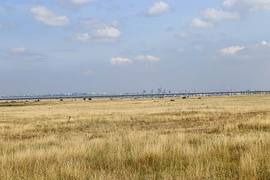 Nairobi National Park, Orphanage, Giraffe & Beads Tour - Tips That Make the Animal and Craft Stops Easier