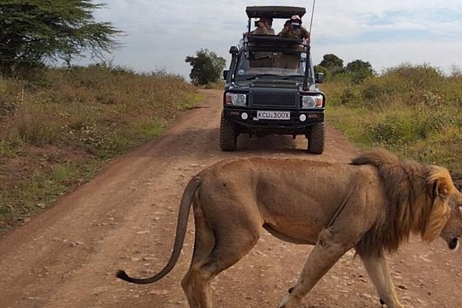 Nairobi National park private day tour - Key highlights you should know before you go