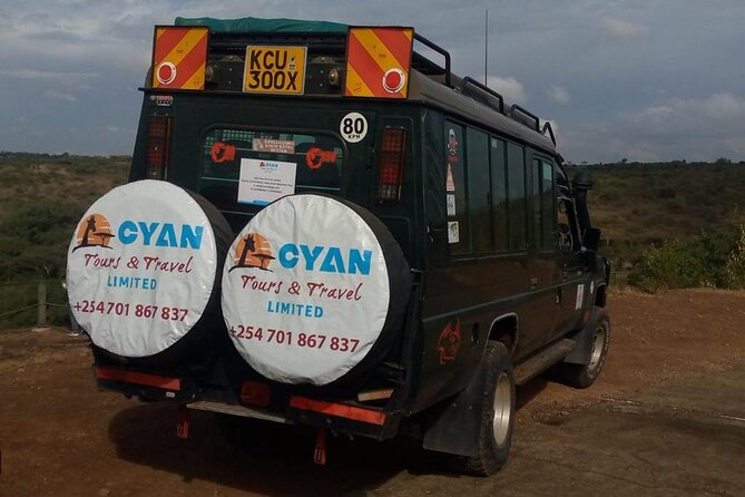 Nairobi National park private day tour - 4 hours of game drive logistics: pickup, transport, and timing