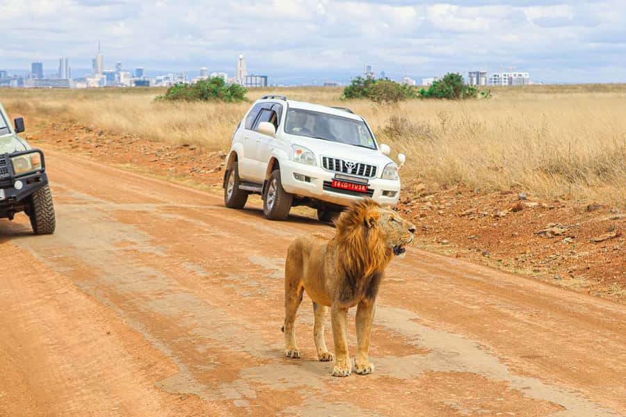 Nairobi: National Park Private Tour in 4X4 Jeep - The morning flow: gate arrival, monkeys, and the Ivory Monument stop