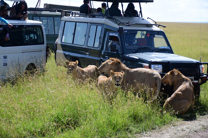 Nairobi National Park Shared Tour - What about the big five odds in only 5 hours?