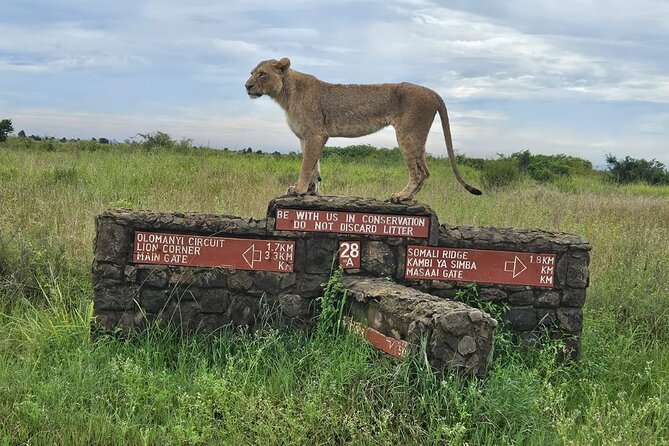Nairobi National Park, Sheldrick Elephant, Giraffe Centre Tour - Why this Nairobi day works: animals plus city convenience
