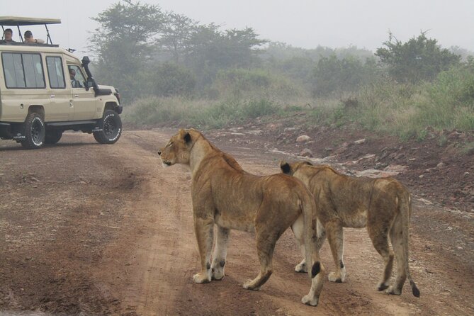 Nairobi National Park Sheldrick & Giraffe Centre Day Trip - Getting around in an 8-seat executive safari van