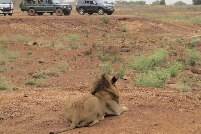 Nairobi National Park Sheldrick & Giraffe Centre Day Trip - Bomas of Kenya: performances, homesteads, and crafts