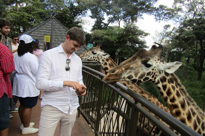 Nairobi National Park Sheldrick & Giraffe Centre Day Trip - Price and value: what $51.86 covers, and what to budget for