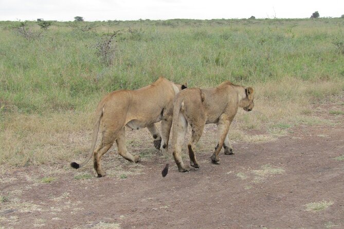 Nairobi National Park Sheldrick & Giraffe Centre Day Trip - Kazuri Beads and leather factory: souvenirs with a mission