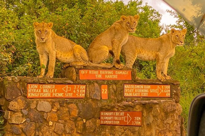 Nairobi National park sun rise game drive with pickup & drop-off - Comfort and expectations, including the vehicle question
