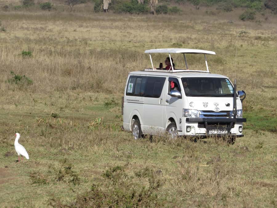 Nairobi national park: Sunrise and Sunset Tours - Nairobi National Park at Golden Hour, the 5-hour reality