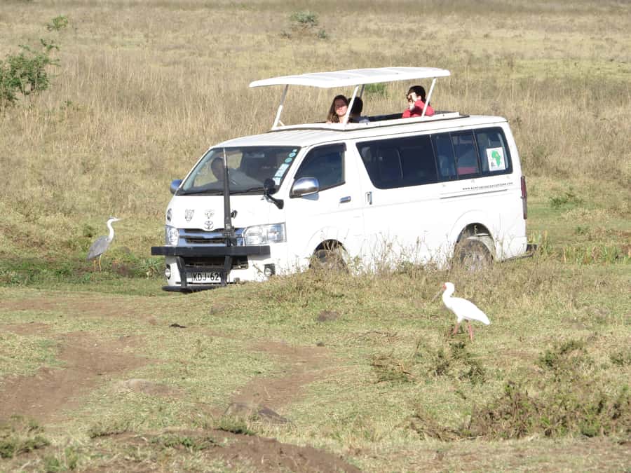Nairobi national park: Sunrise and Sunset Tours - From Pickup to Park Gates, how the timing works