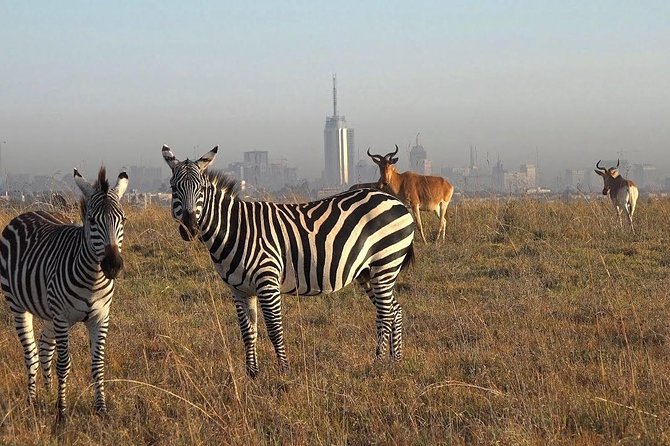 Nairobi National Park Tour - Giraffe Center upgrade: included tickets and close viewing time