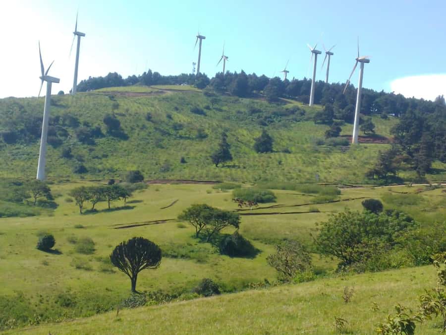 Nairobi: Ngong Hills Hiking and Zip Lining Tour - Meeting your guide and getting from Nairobi to the hills