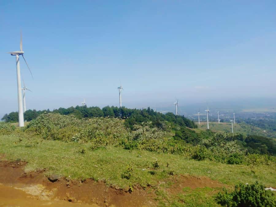 Nairobi: Ngong Hills Hiking and Zip Lining Tour - Indigenous trees, flora, and fauna lessons that add meaning