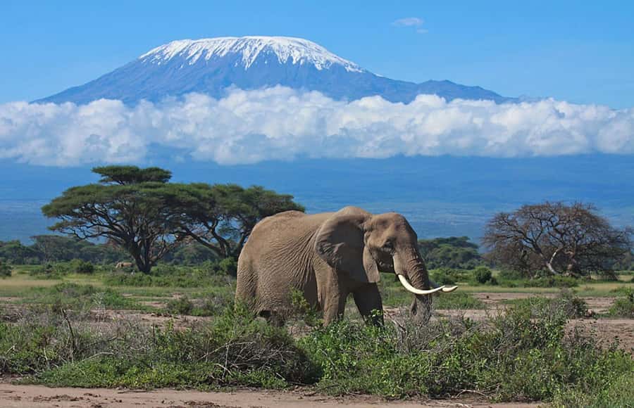 Nairobi: Overnight Safari Trip to Amboseli National Park - Key highlights you will feel right away