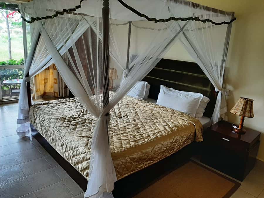 Nairobi: Overnight Safari Trip to Amboseli National Park - Day 1 Schedule: Lunch on Arrival, a Midday Break, Then Game Viewing