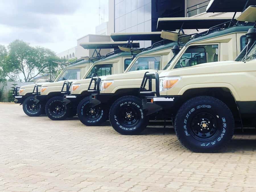 Nairobi: Overnight Safari Trip to Amboseli National Park - AA Amboseli Lodge: Your Included Overnight Stay and What to Expect