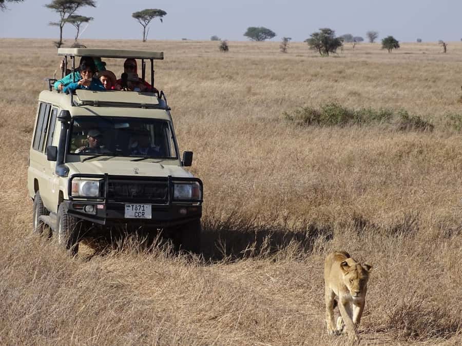 Nairobi: Overnight Safari Trip to Amboseli National Park - Price and Value: Is $698 Worth It?