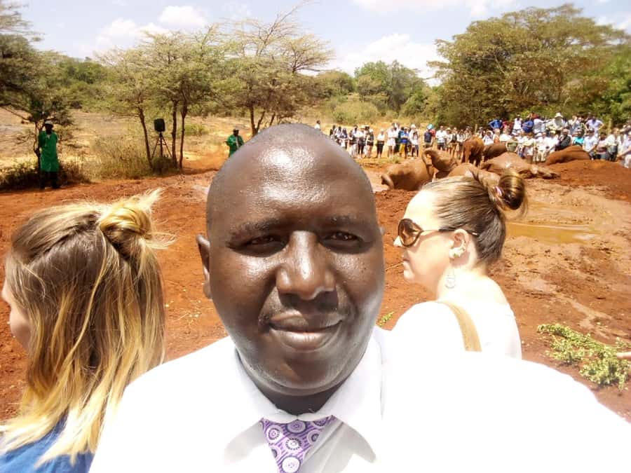 Nairobi: Private Elephant Orphanage Tour - Who this private elephant orphanage tour suits best