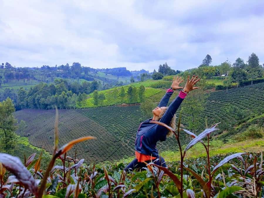 Nairobi: Purple Tea Farm Gatura Greens Day Trip - Price and Value: The $54 Tour Fee Plus the $45 Farm Entry Fee