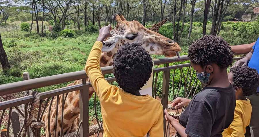 Nairobi: Sheldrick Elephant Orphanage and Giraffe Center - A 6-hour Nairobi animal and culture day, built for seeing more