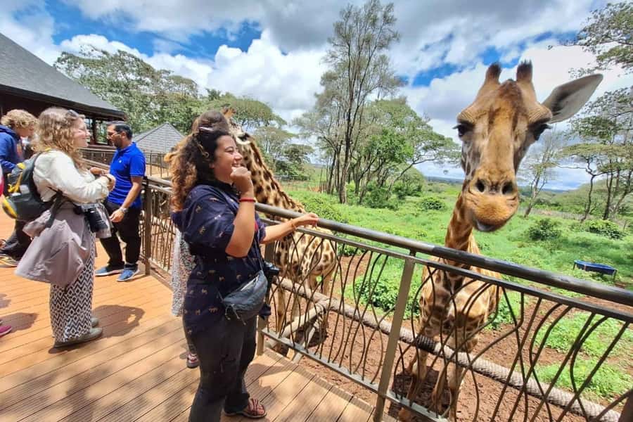 Nairobi: Sheldrick Elephant Orphanage and Giraffe Center - Who should book this Nairobi day trip, and who might not