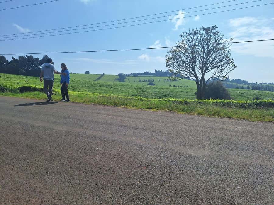 Nairobi: Tea Farm Day Trip with Lunch at kiambethu - The forest trek and waterfall dip: when you get out of the tea rows