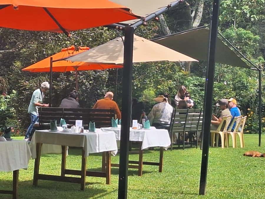 Nairobi: Tea Farm Day Trip with Lunch at kiambethu - Tea ceremonies and sampling: the tasting part that makes the rest make sense