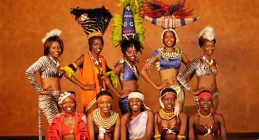 Nairobi: The Safari Cats Show Tickets & Buffet Dinner - Key things I’d plan around