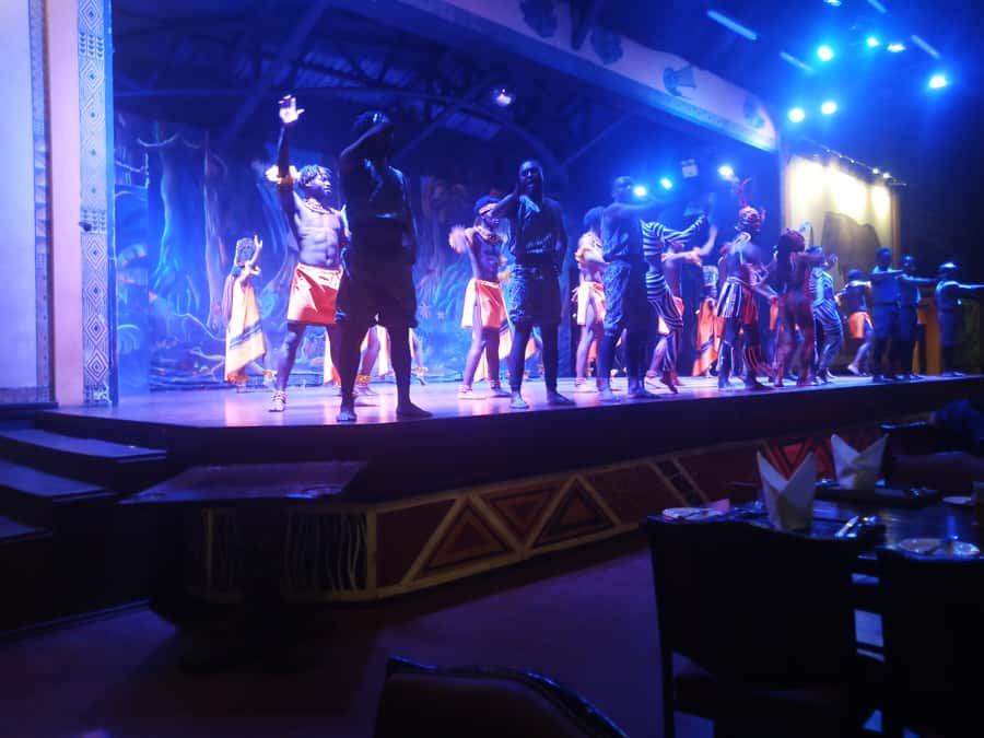 Nairobi: The Safari Cats Show Tickets & Buffet Dinner - Practical tips: clothing, bags, and the small rules