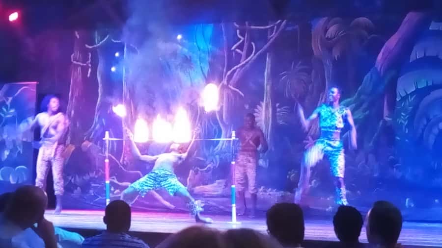 Nairobi: The Safari Cats Show Tickets & Buffet Dinner - The timing that matters: 6:30 pickup, dinner time, and a 9 to 10 show