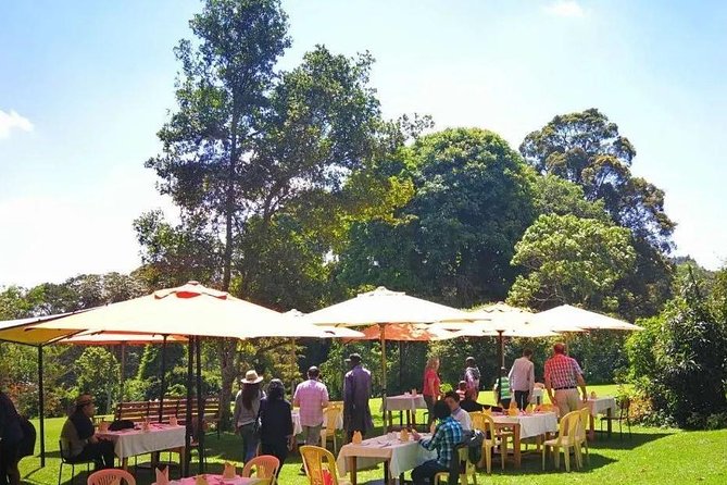 Nairobi to Kiambethu Tea Farm Tour - Nairobi to Kiambethu Tea Farm, what you are really getting